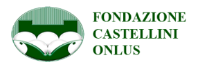 Fondazione Castellini